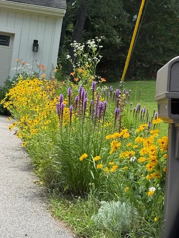 19 Pinewood Drive Merrimack NH 03054