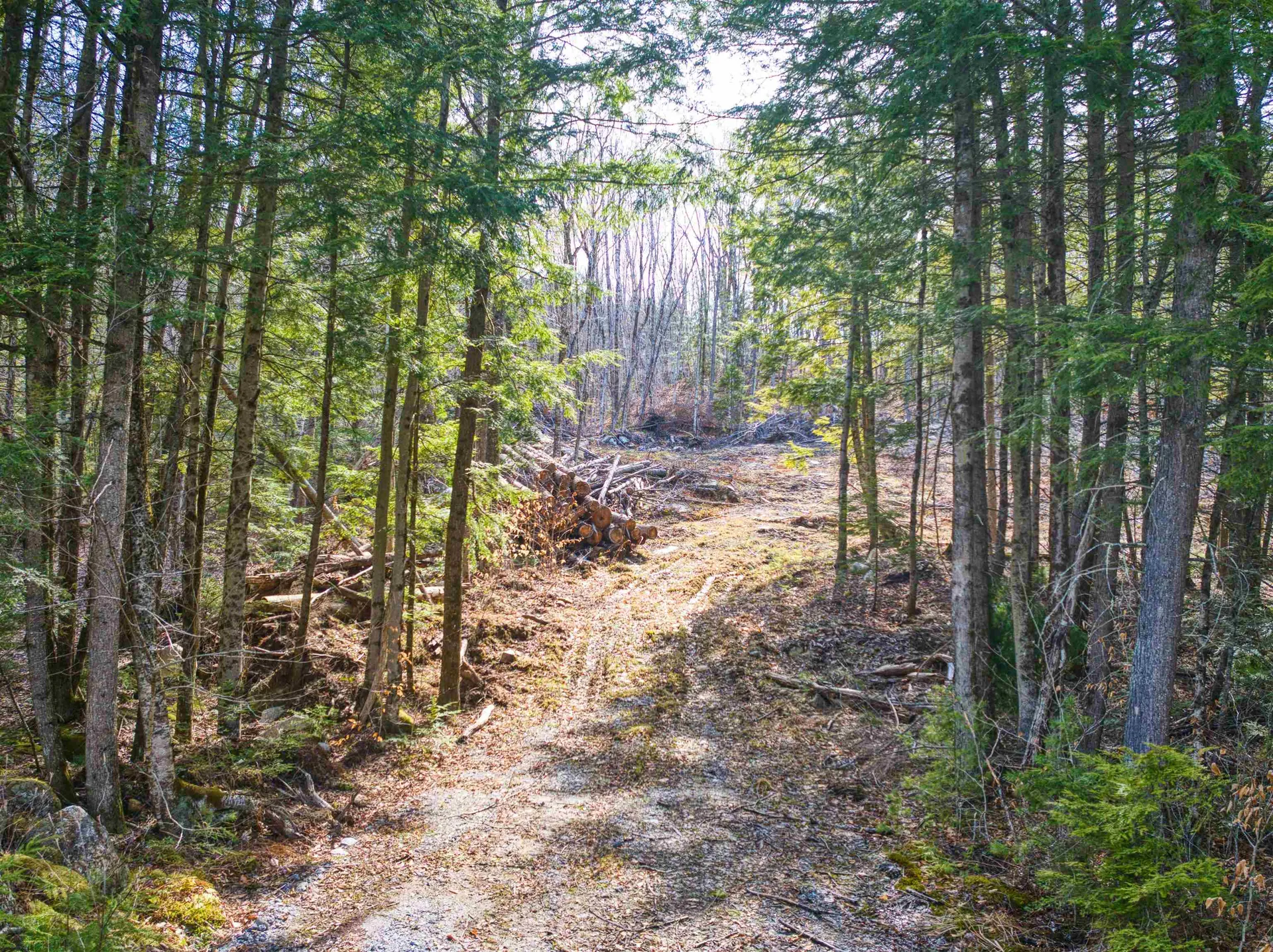 0 Hominy Pot Road Sutton NH 03221