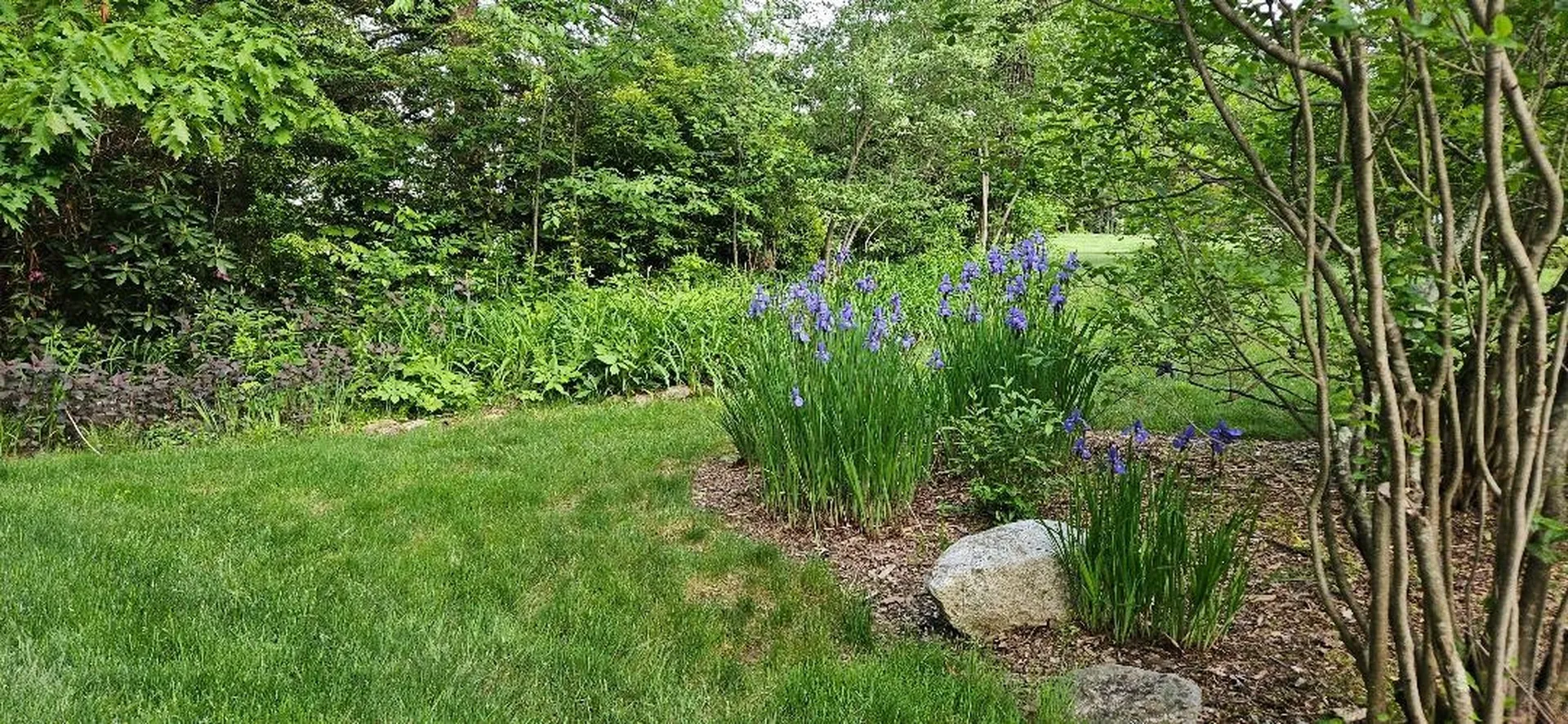 7 Lindon Drive Brentwood NH 03833