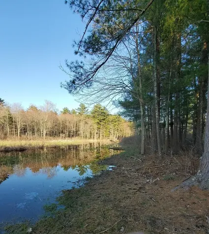 7 Lindon Drive Brentwood NH 03833