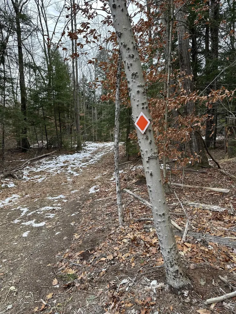 165 Allens Mill Road Gilmanton NH 03237