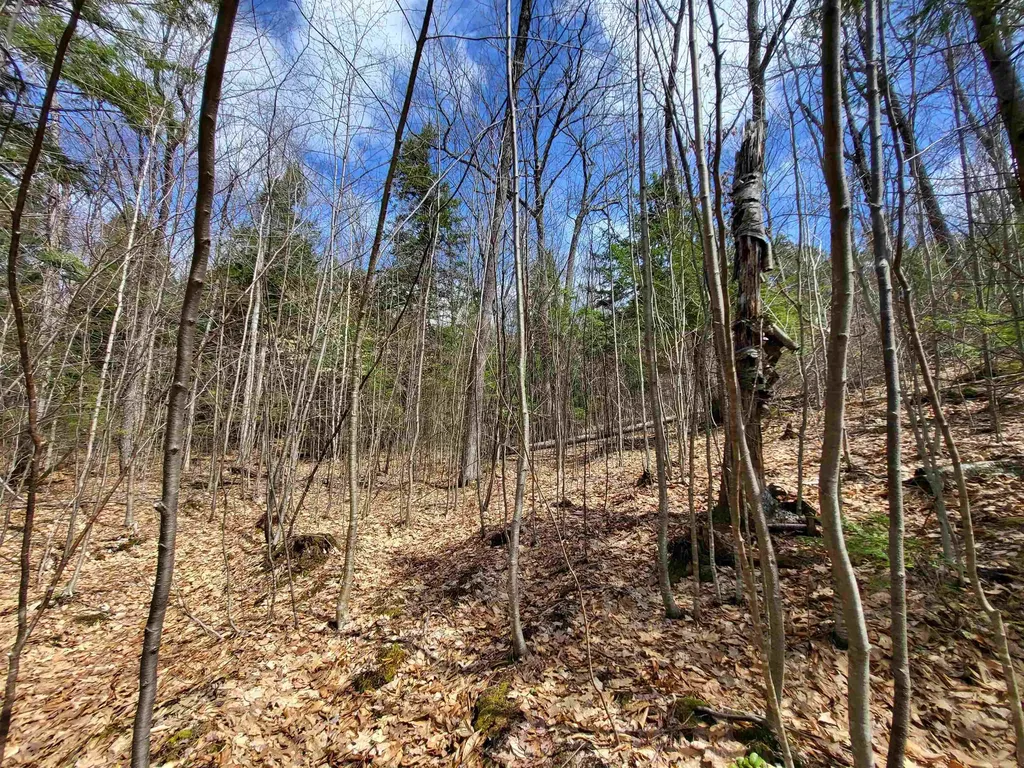 637 Sanborn Road Sanbornton NH 03269