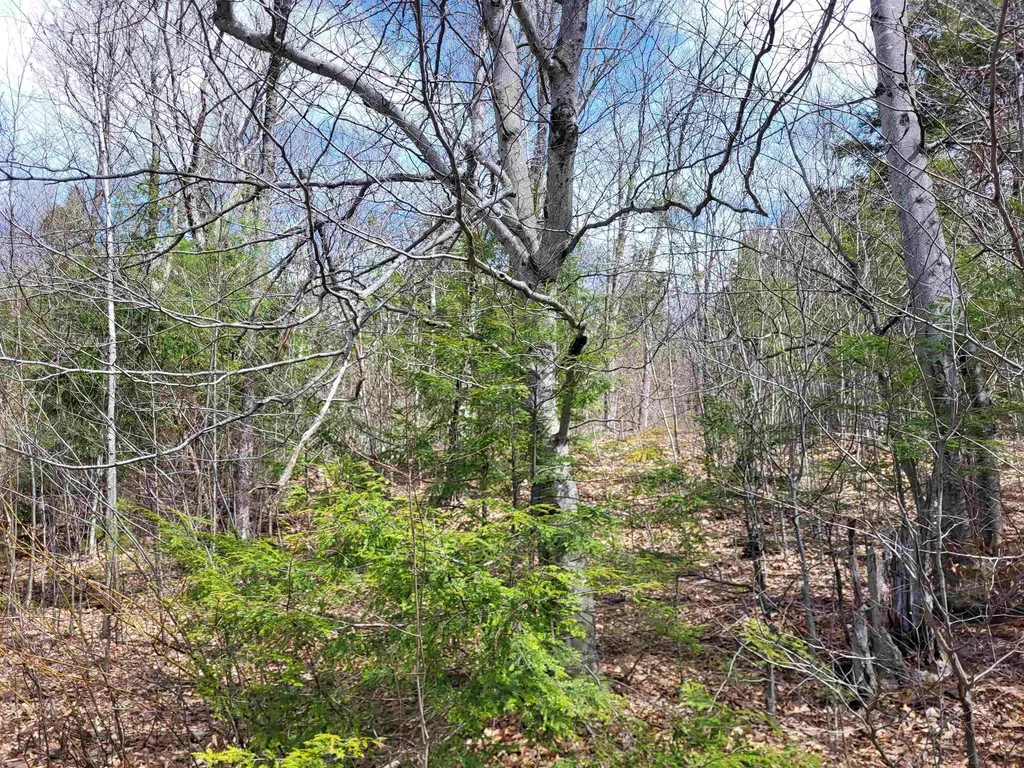 637 Sanborn Road Sanbornton NH 03269