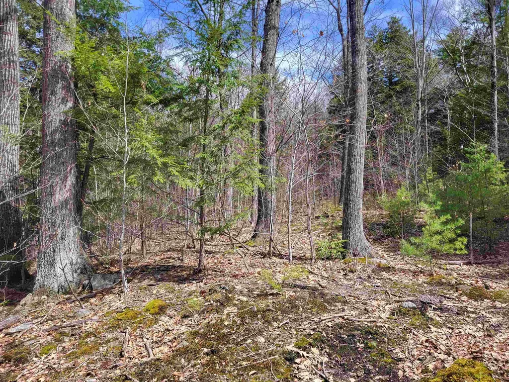 637 Sanborn Road Sanbornton NH 03269