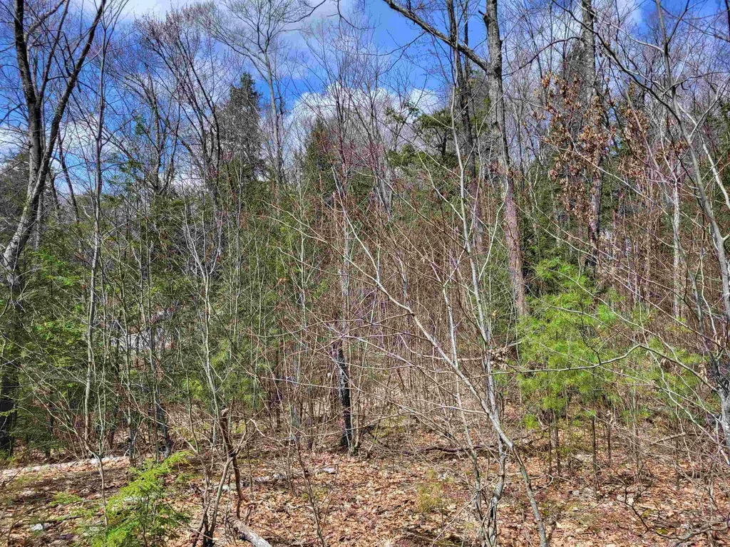 637 Sanborn Road Sanbornton NH 03269