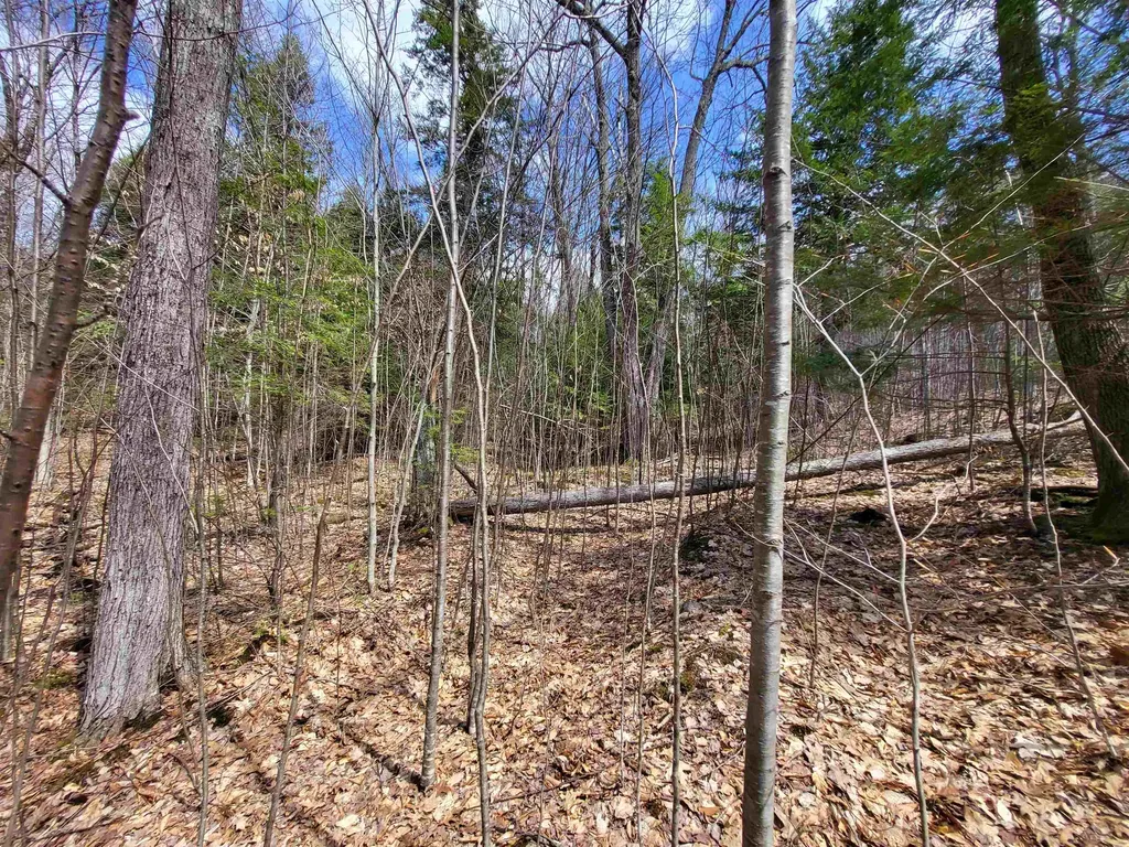 637 Sanborn Road Sanbornton NH 03269