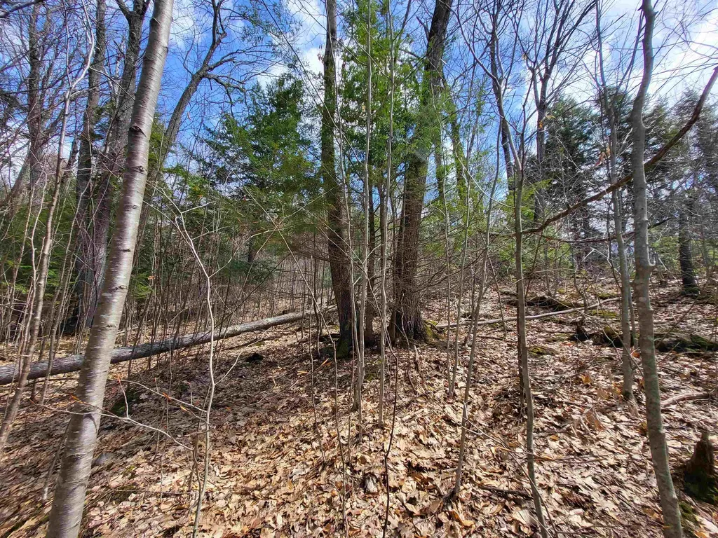 637 Sanborn Road Sanbornton NH 03269