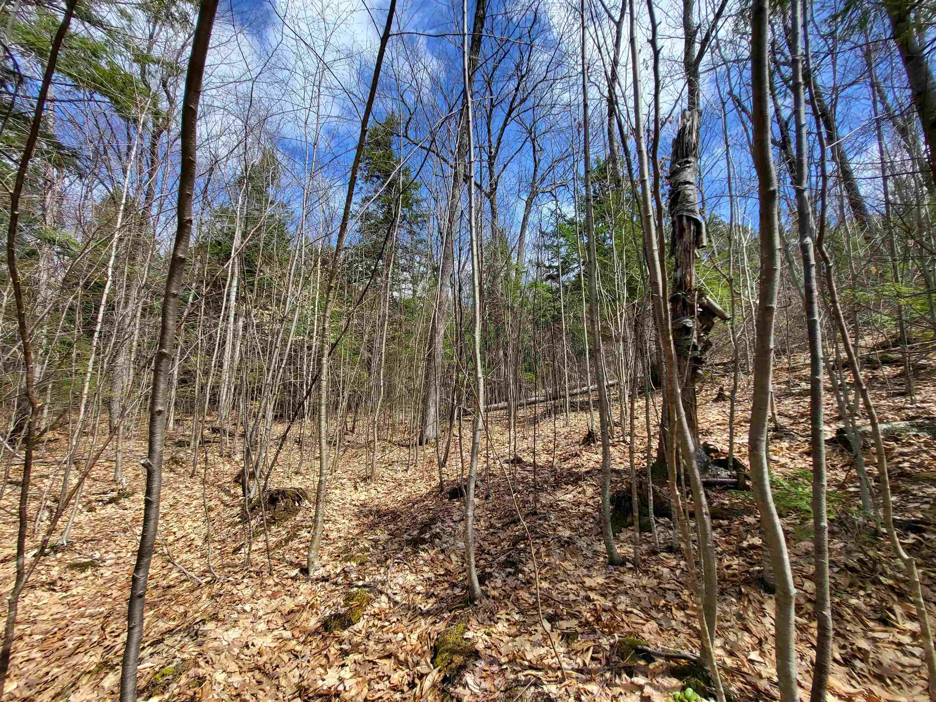 637 Sanborn Road Sanbornton NH 03269