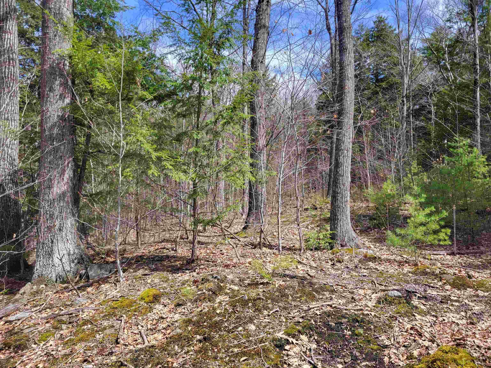 637 Sanborn Road Sanbornton NH 03269
