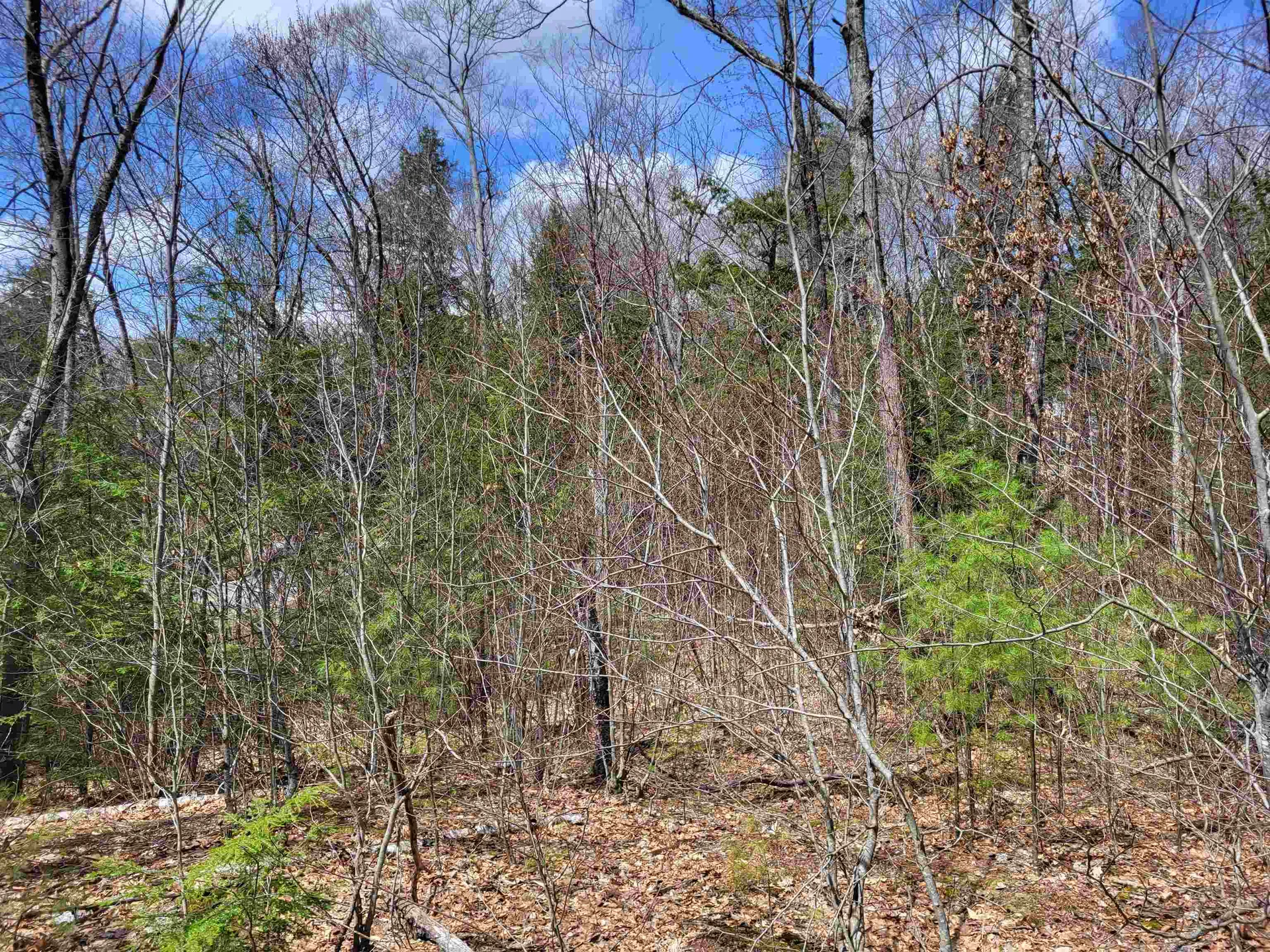 637 Sanborn Road Sanbornton NH 03269