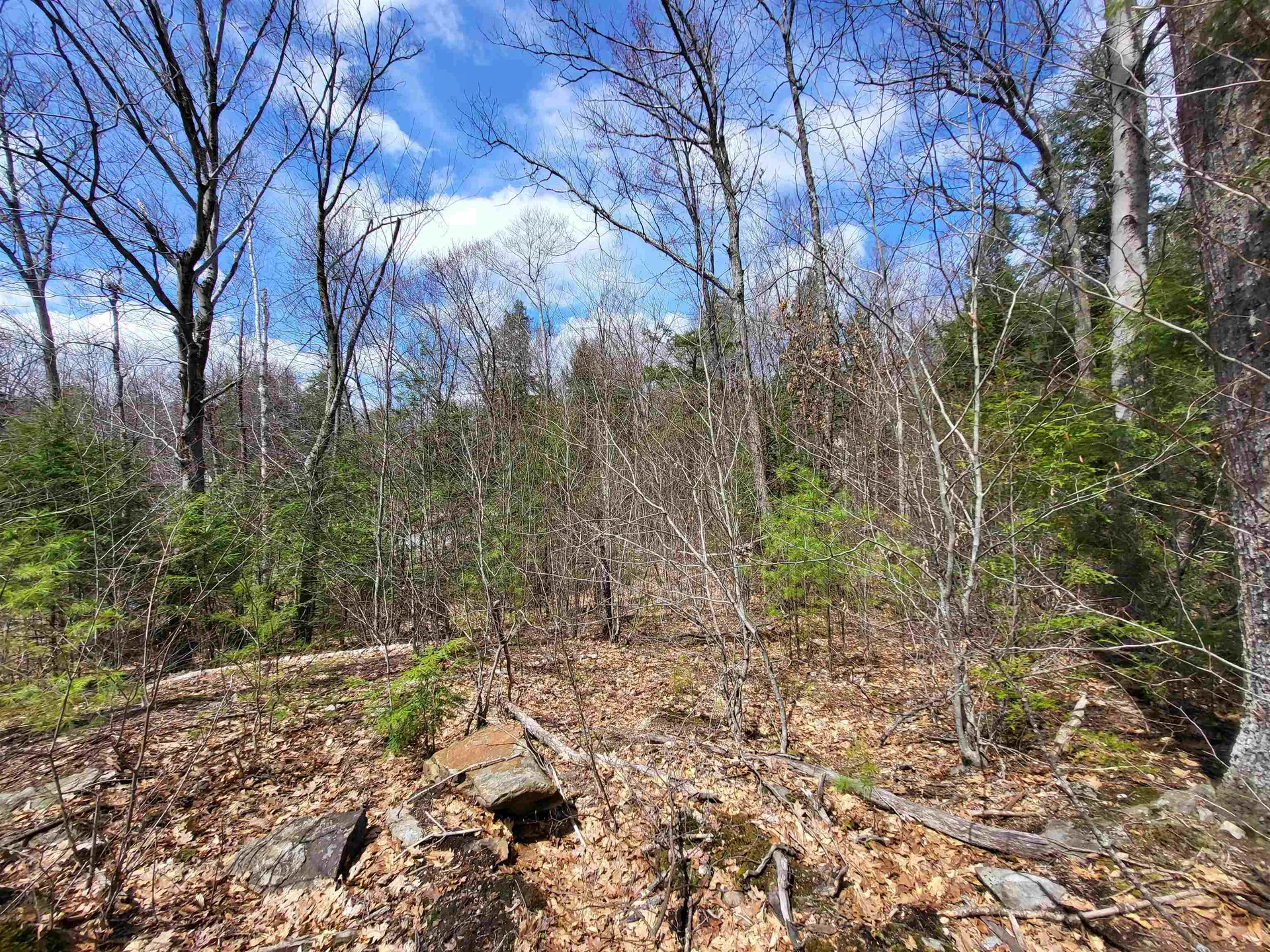 637 Sanborn Road Sanbornton NH 03269