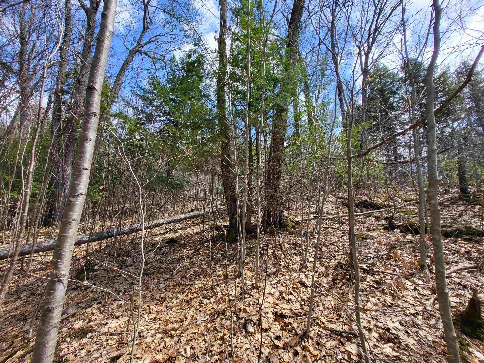 637 Sanborn Road Sanbornton NH 03269