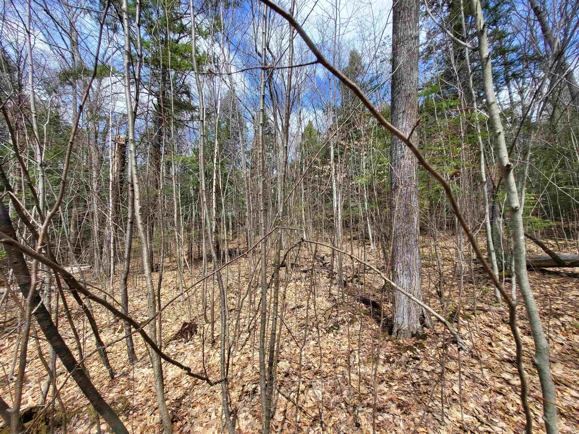 637 Sanborn Road Sanbornton NH 03269