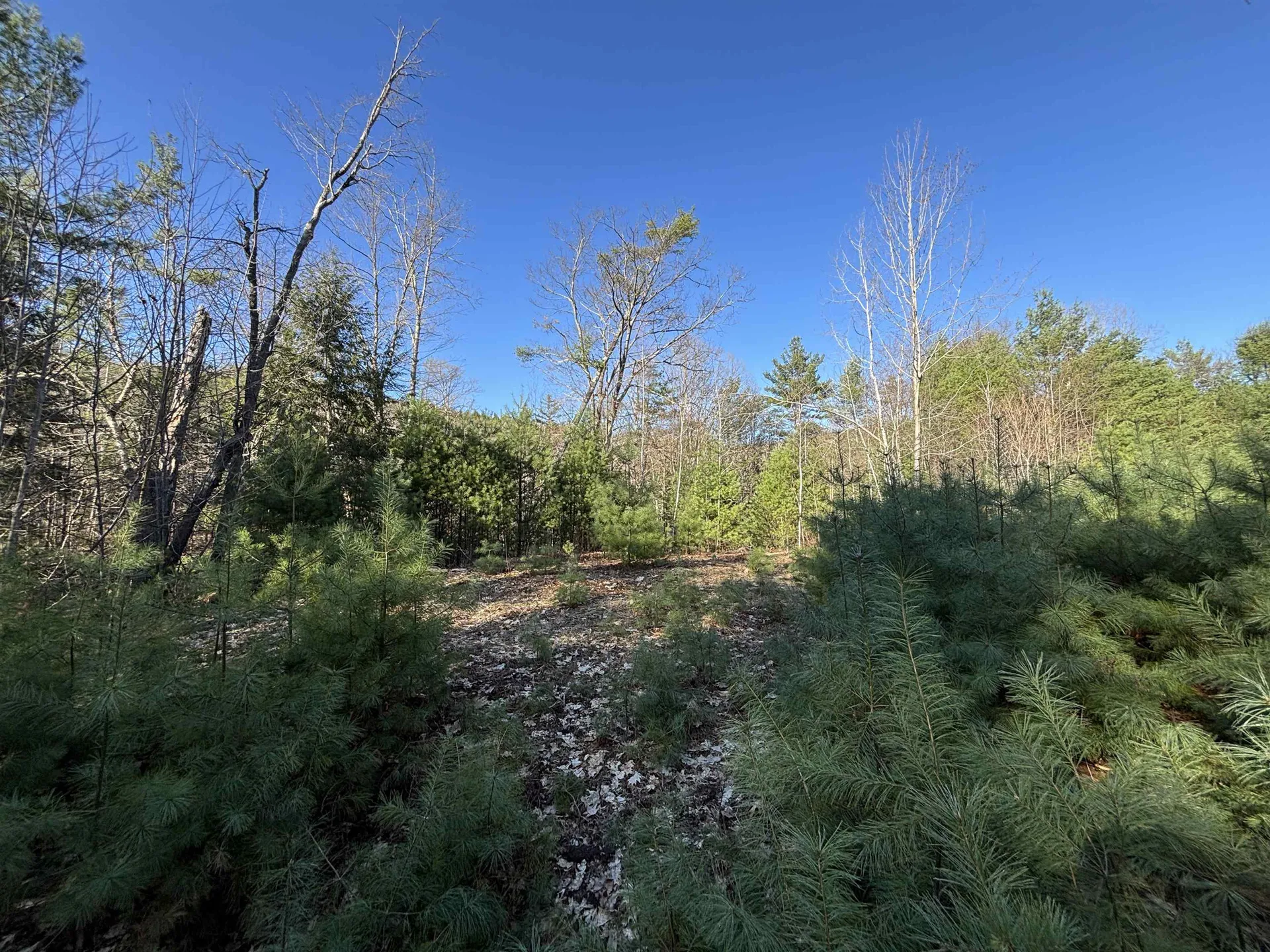 00 Simonsville Road Andover VT 05143