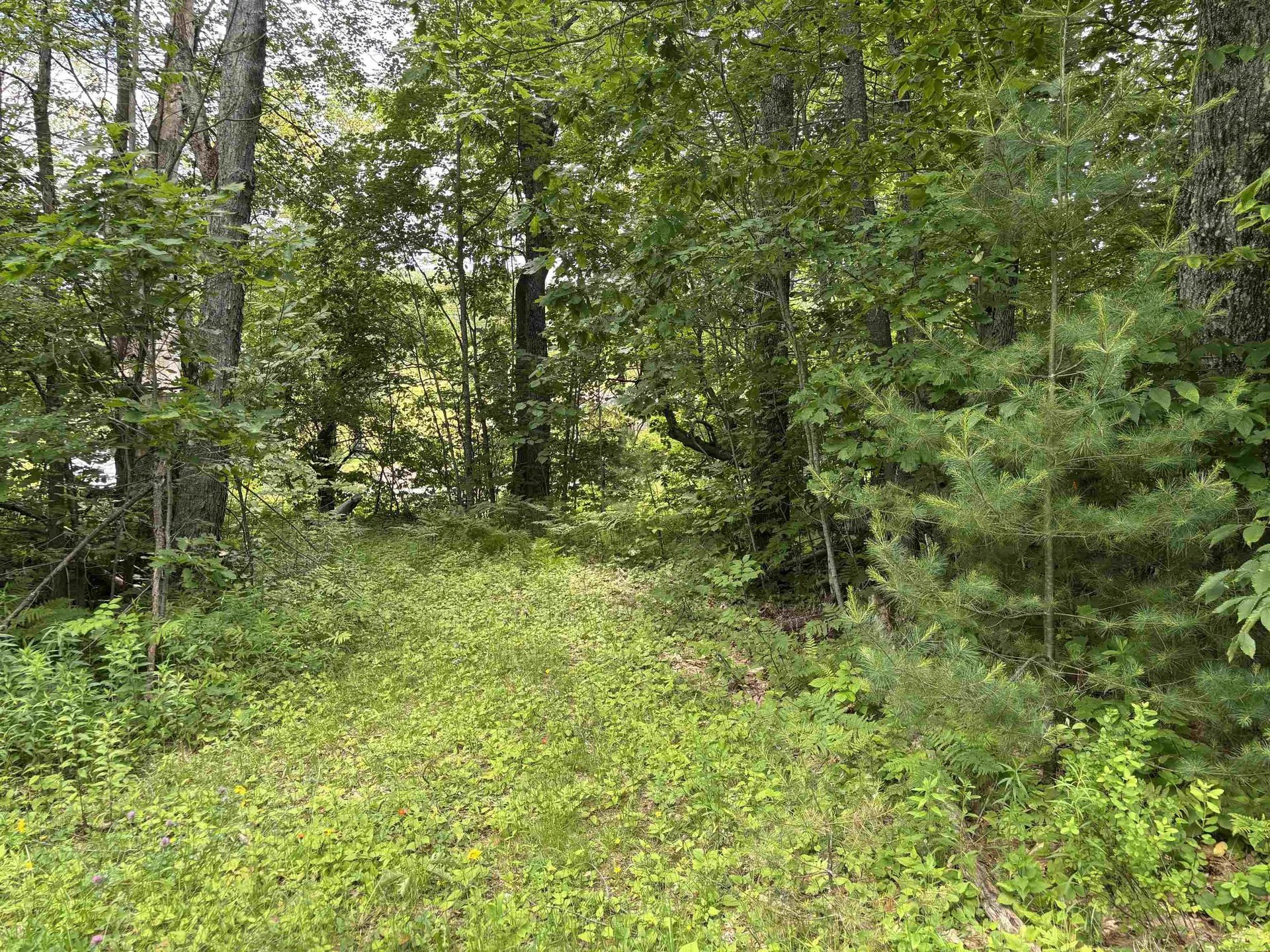 00 Simonsville Road Andover VT 05143