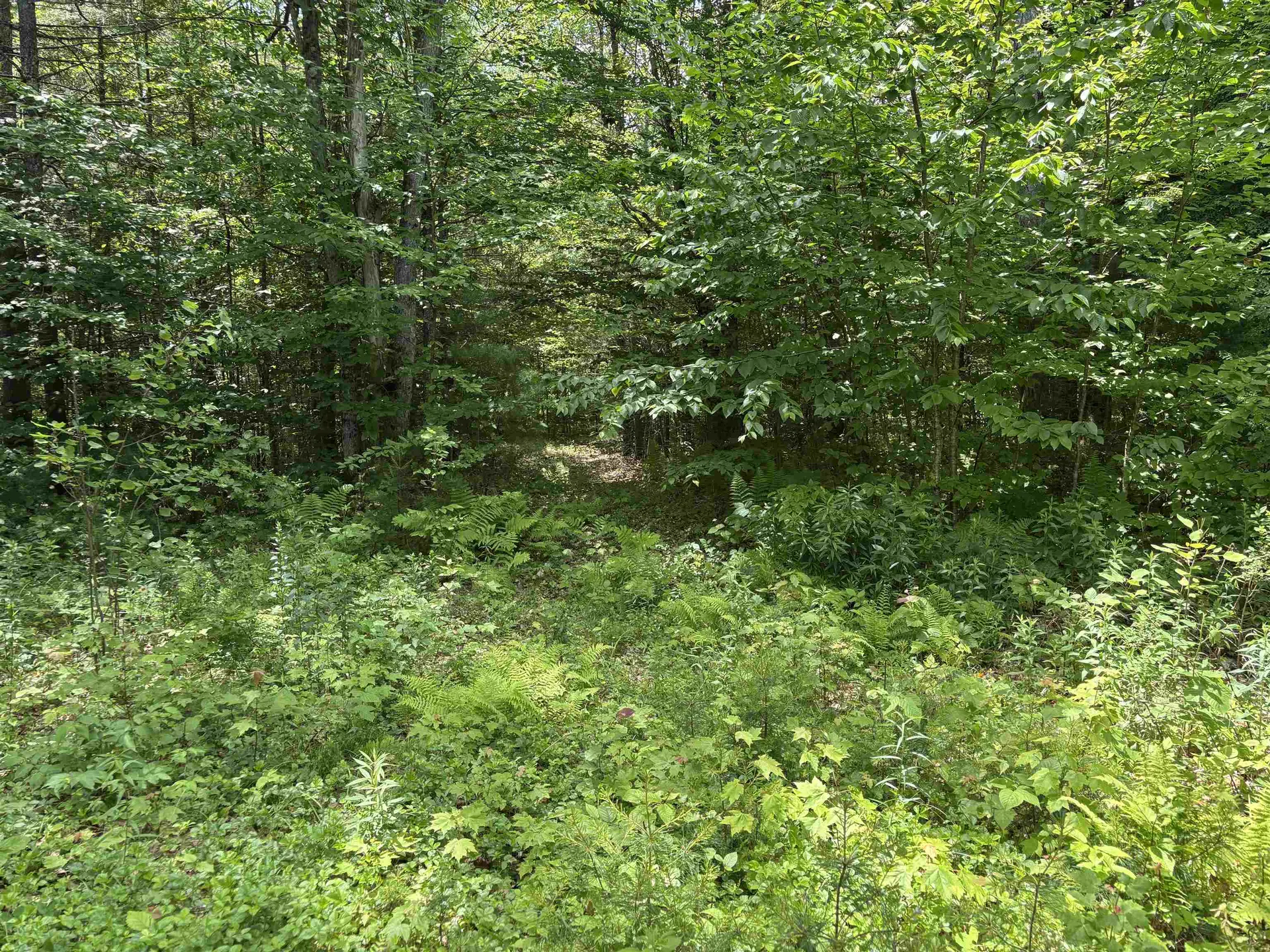 00 Simonsville Road Andover VT 05143
