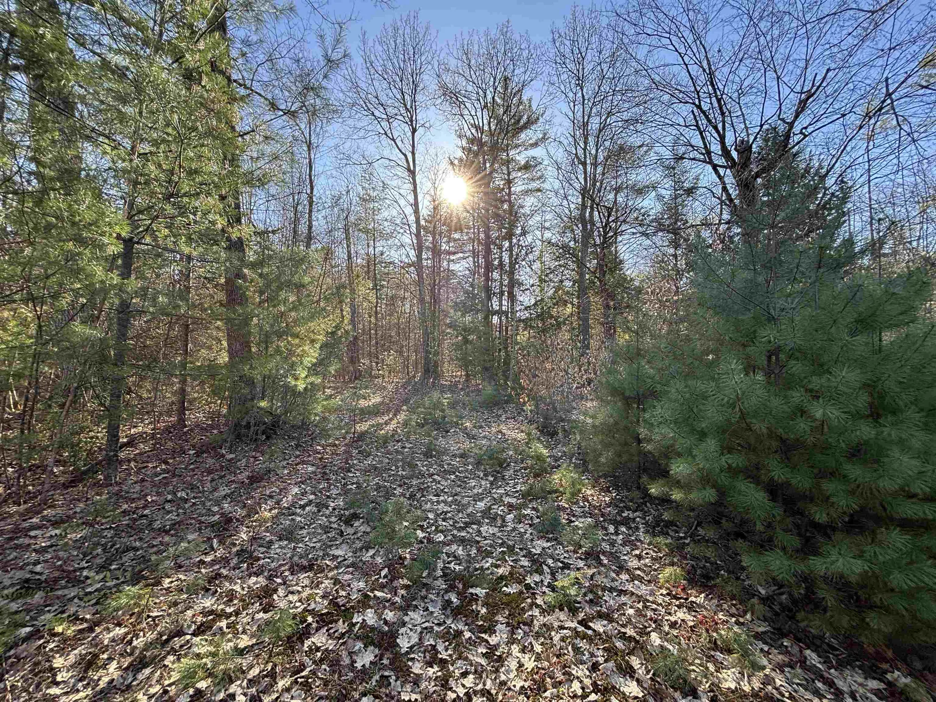 00 Simonsville Road Andover VT 05143