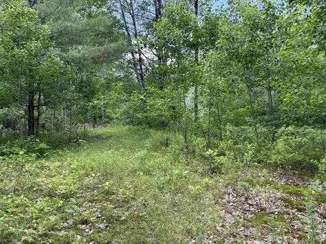 00 Simonsville Road Andover VT 05143
