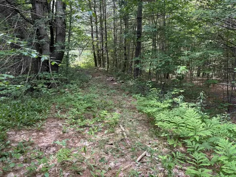00 Simonsville Road Andover VT 05143