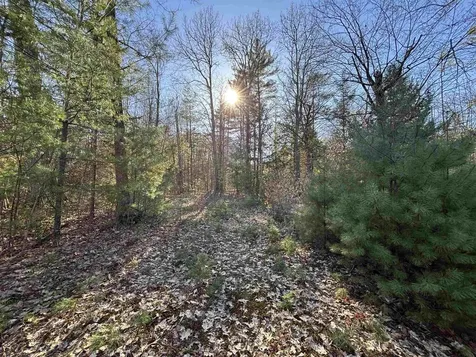00 Simonsville Road Andover VT 05143