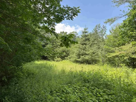00 Simonsville Road Andover VT 05143