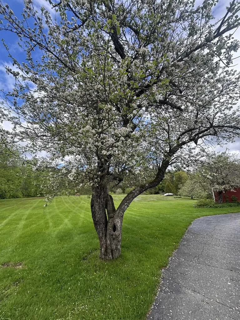 308 Middle Street Brighton VT 05846