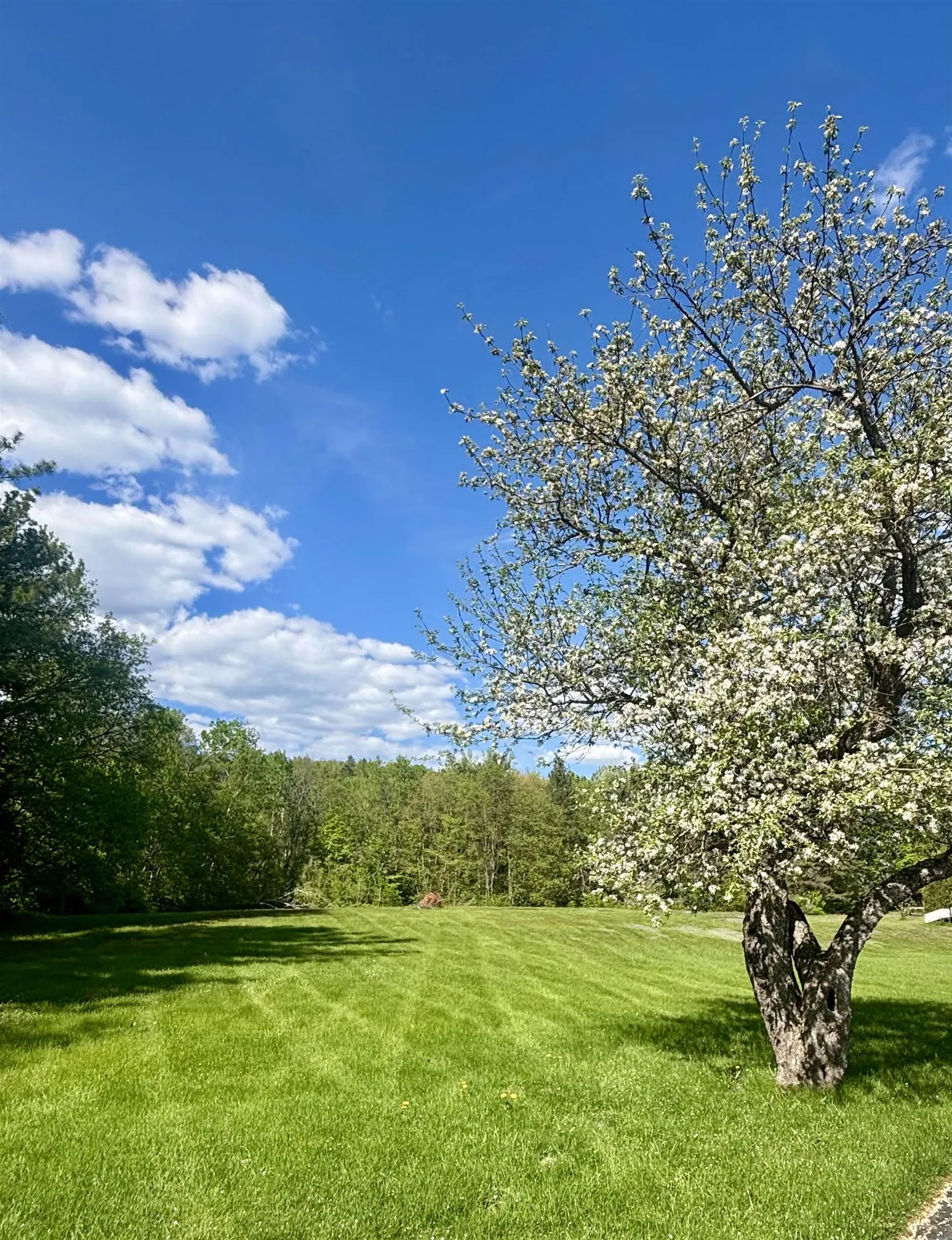 308 Middle Street Brighton VT 05846