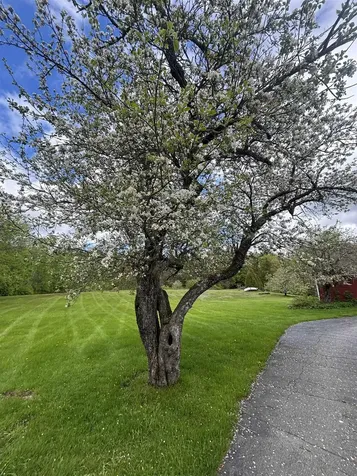 308 Middle Street Brighton VT 05846