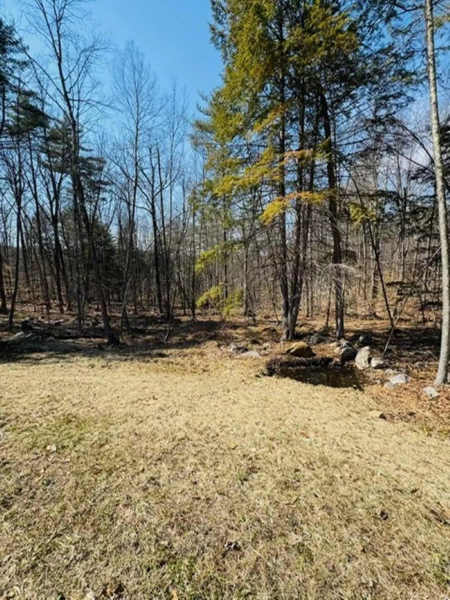 109 Mountain Road Gilmanton NH 03837