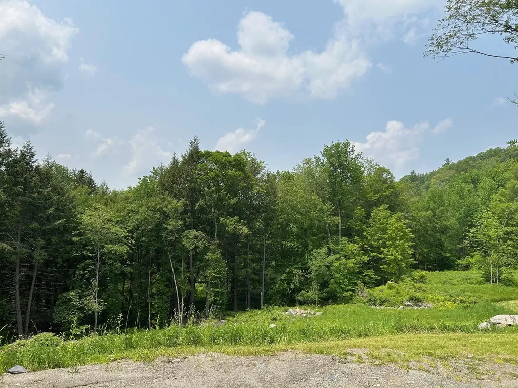 320 West Rowe Hill Road West Windsor VT 05037