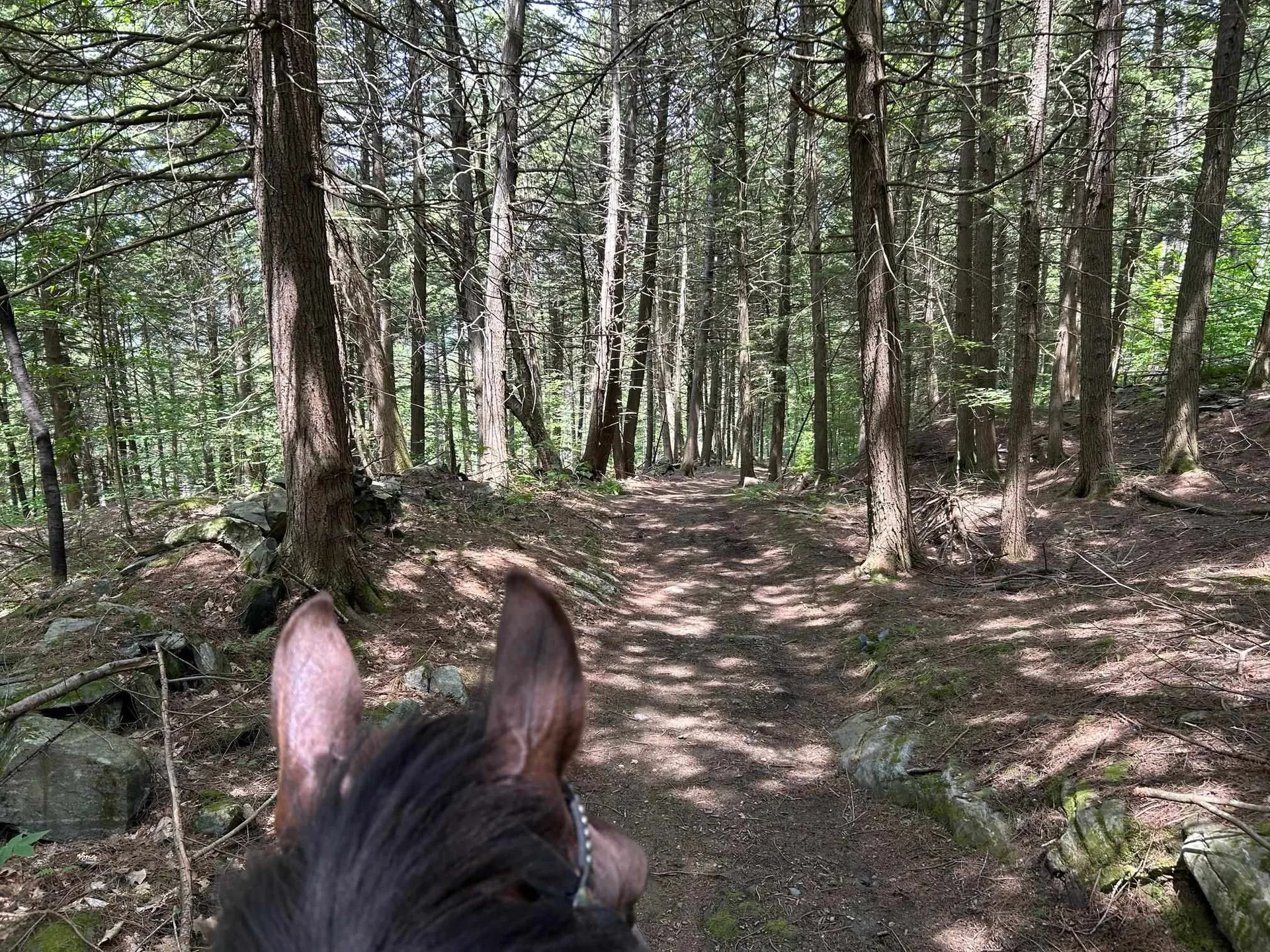 320 West Rowe Hill Road West Windsor VT 05037
