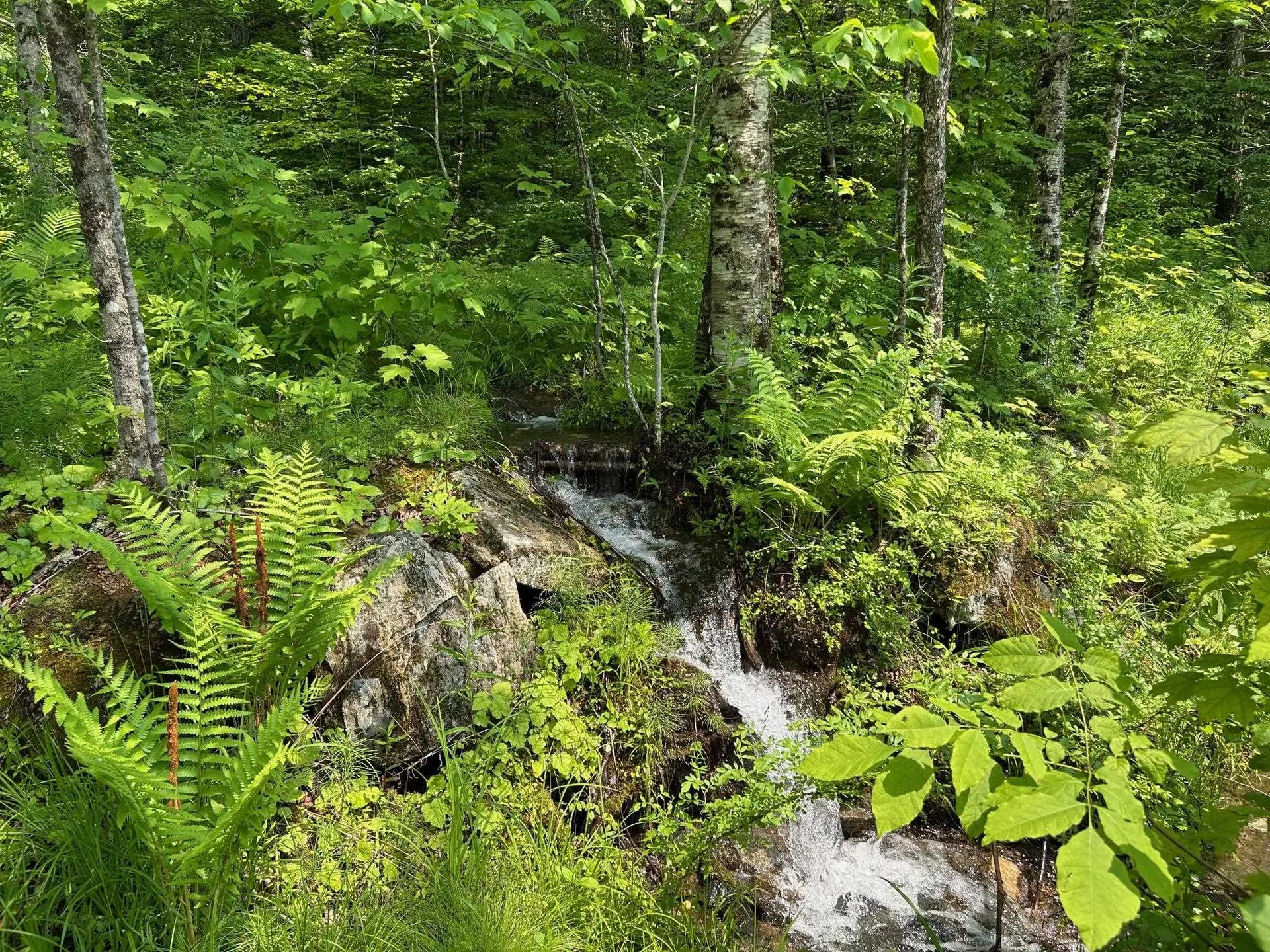 320 West Rowe Hill Road West Windsor VT 05037