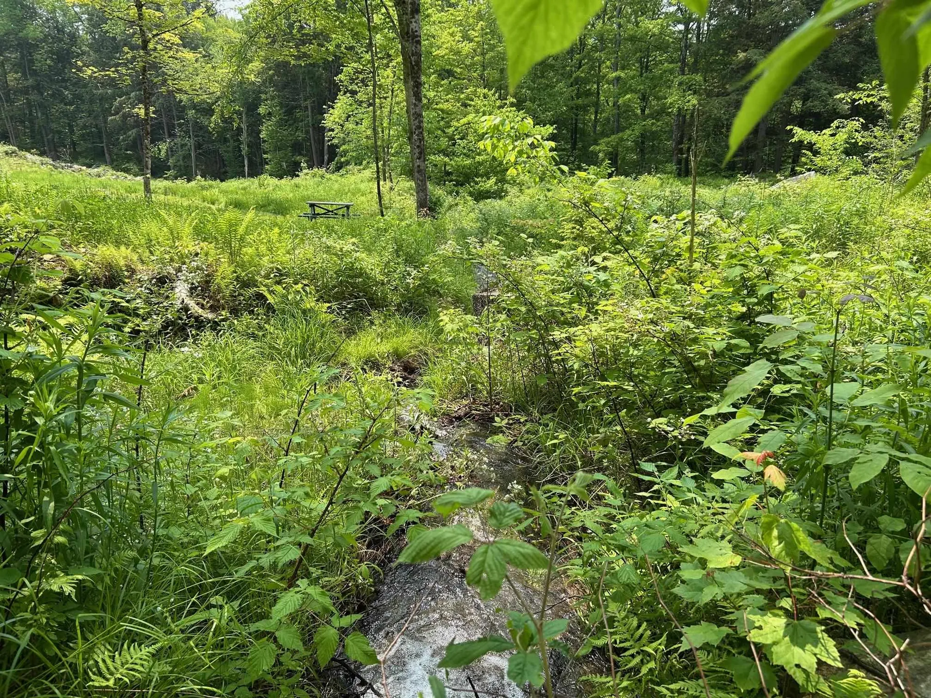 320 West Rowe Hill Road West Windsor VT 05037