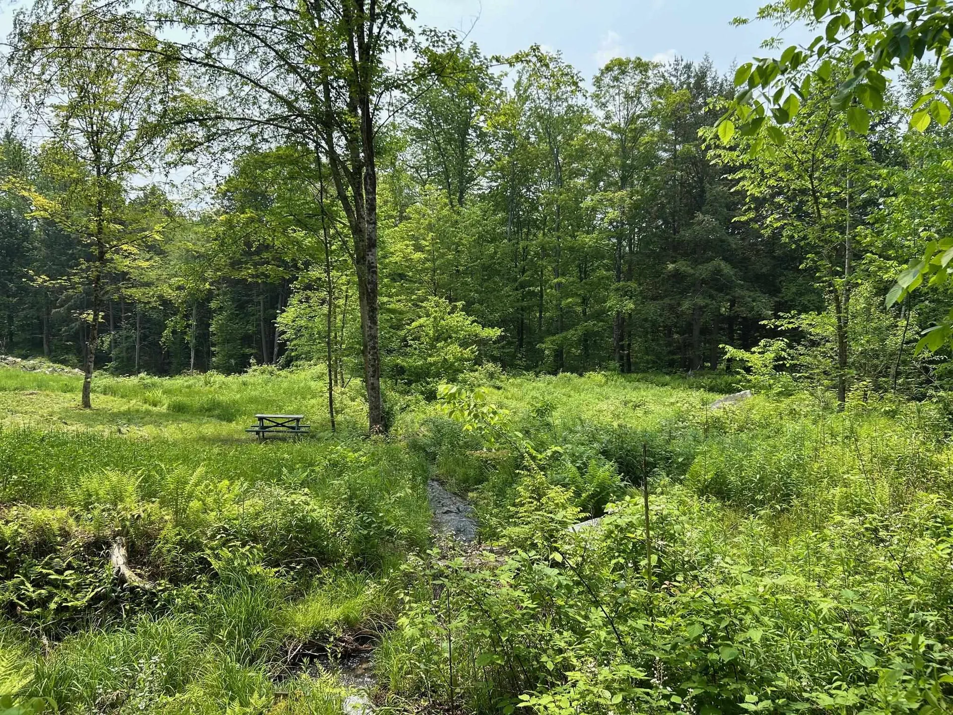320 West Rowe Hill Road West Windsor VT 05037