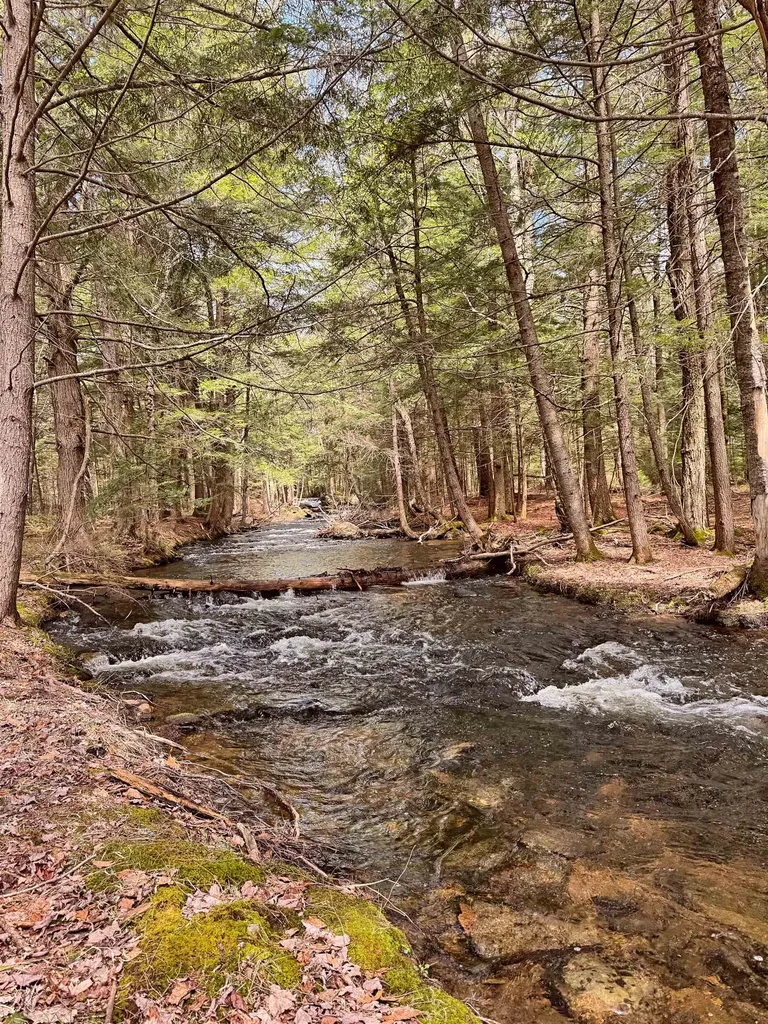 137 Keyes Hollow Road Lempster NH 03605