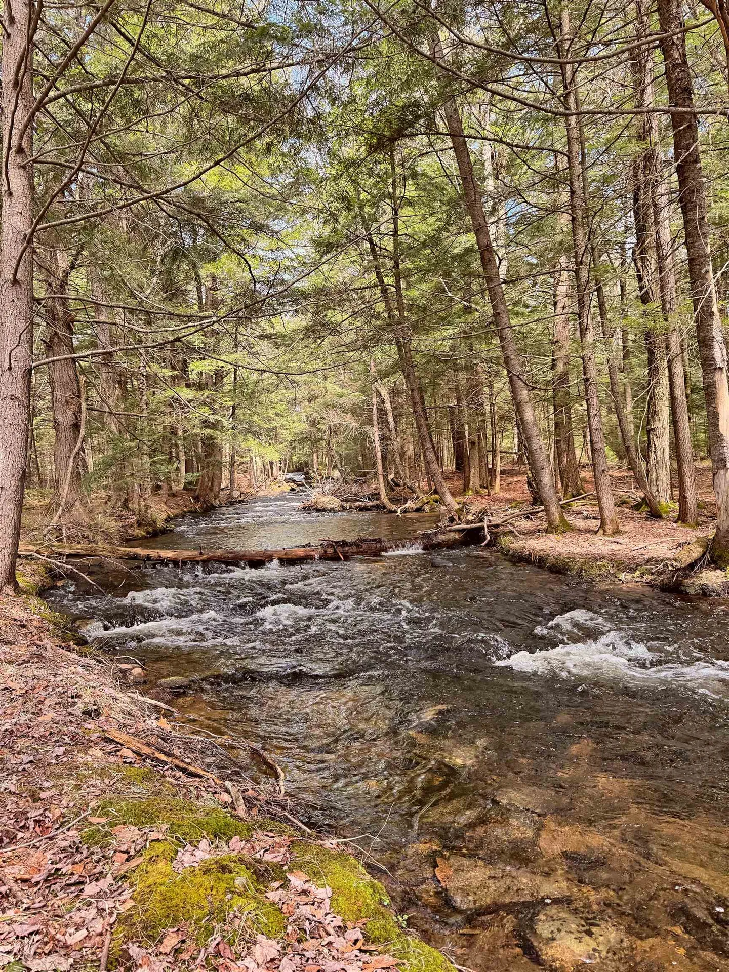 137 Keyes Hollow Road Lempster NH 03605