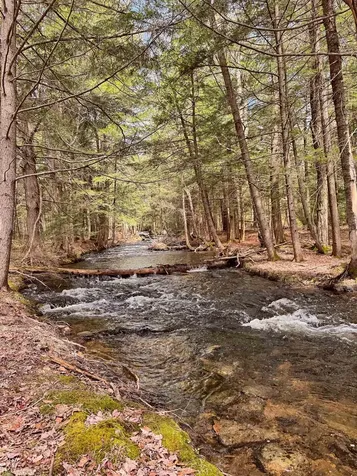 137 Keyes Hollow Road Lempster NH 03605