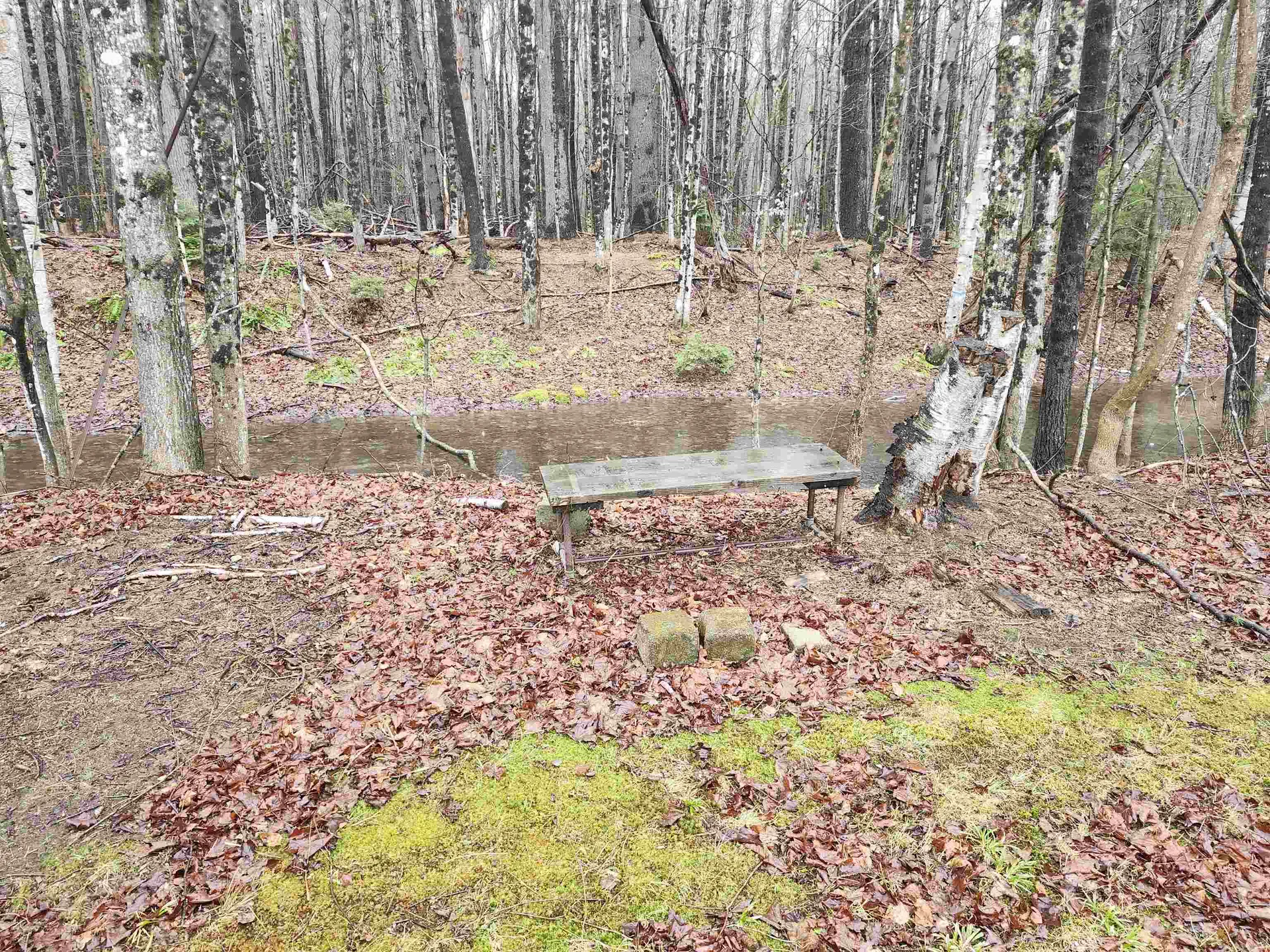 1191 Us Route 302 Bartlett NH 03812