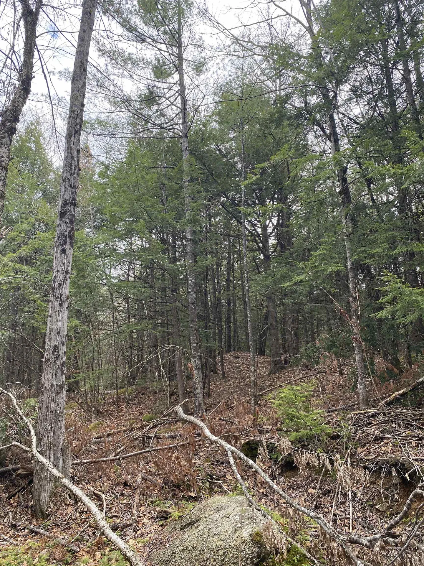 0 Corrigan Way Windsor NH 03244