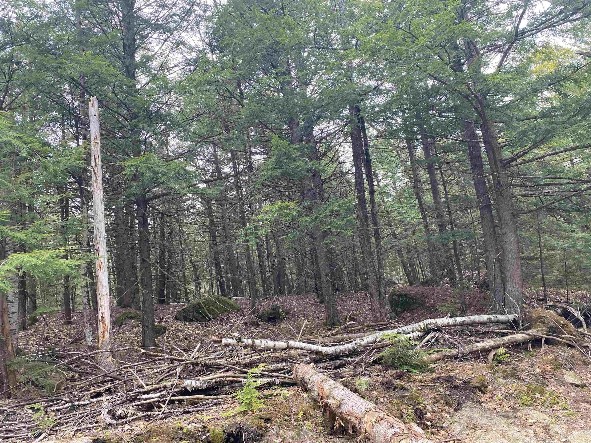 0 Corrigan Way Windsor NH 03244