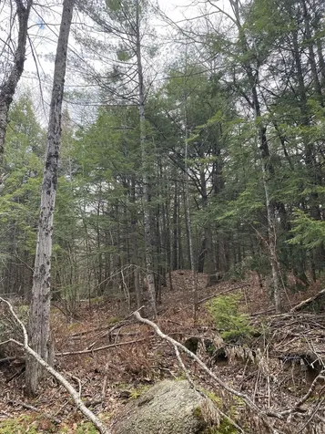 0 Corrigan Way Windsor NH 03244