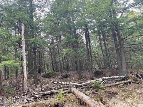 0 Corrigan Way Windsor NH 03244