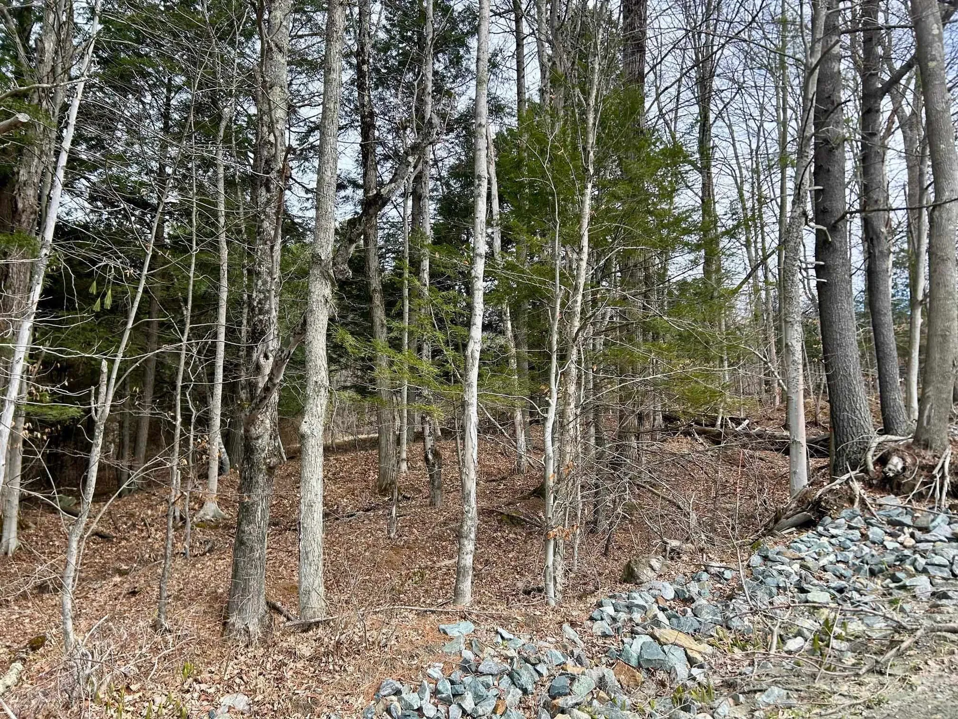 00 Dairy Hill Road Royalton VT 05068