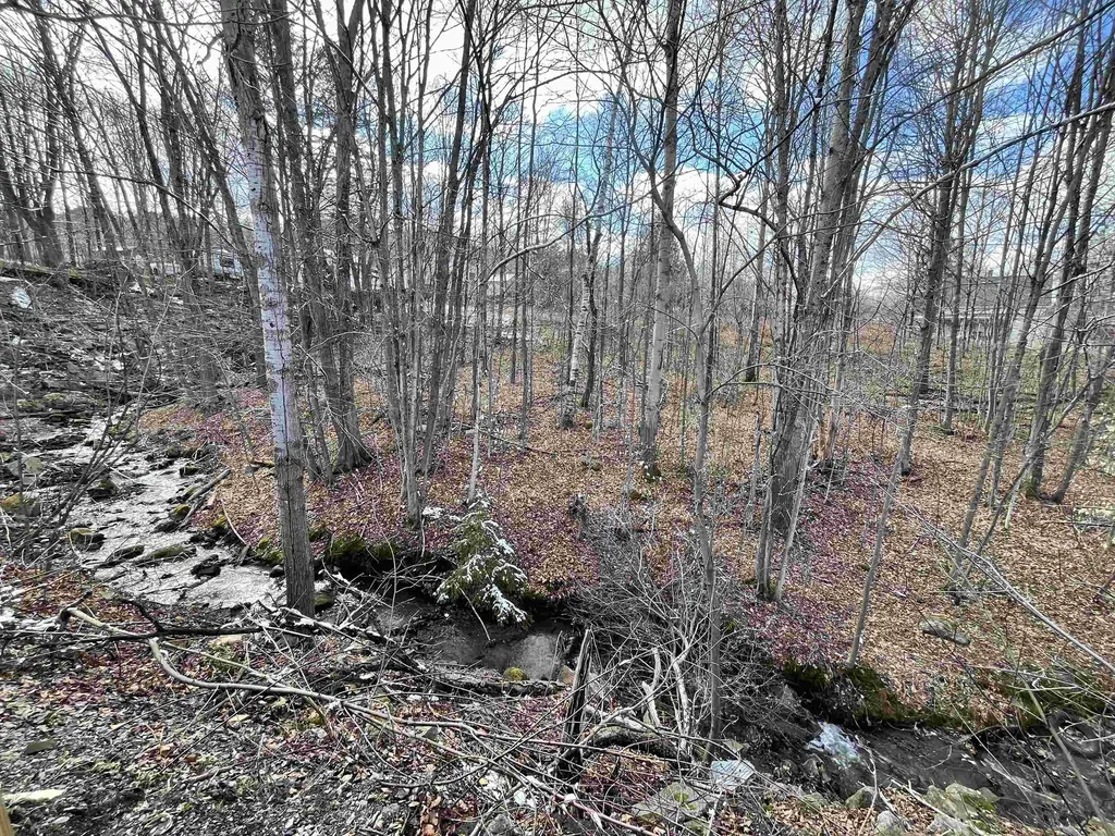 67 Brook Street Barre Town VT 05641