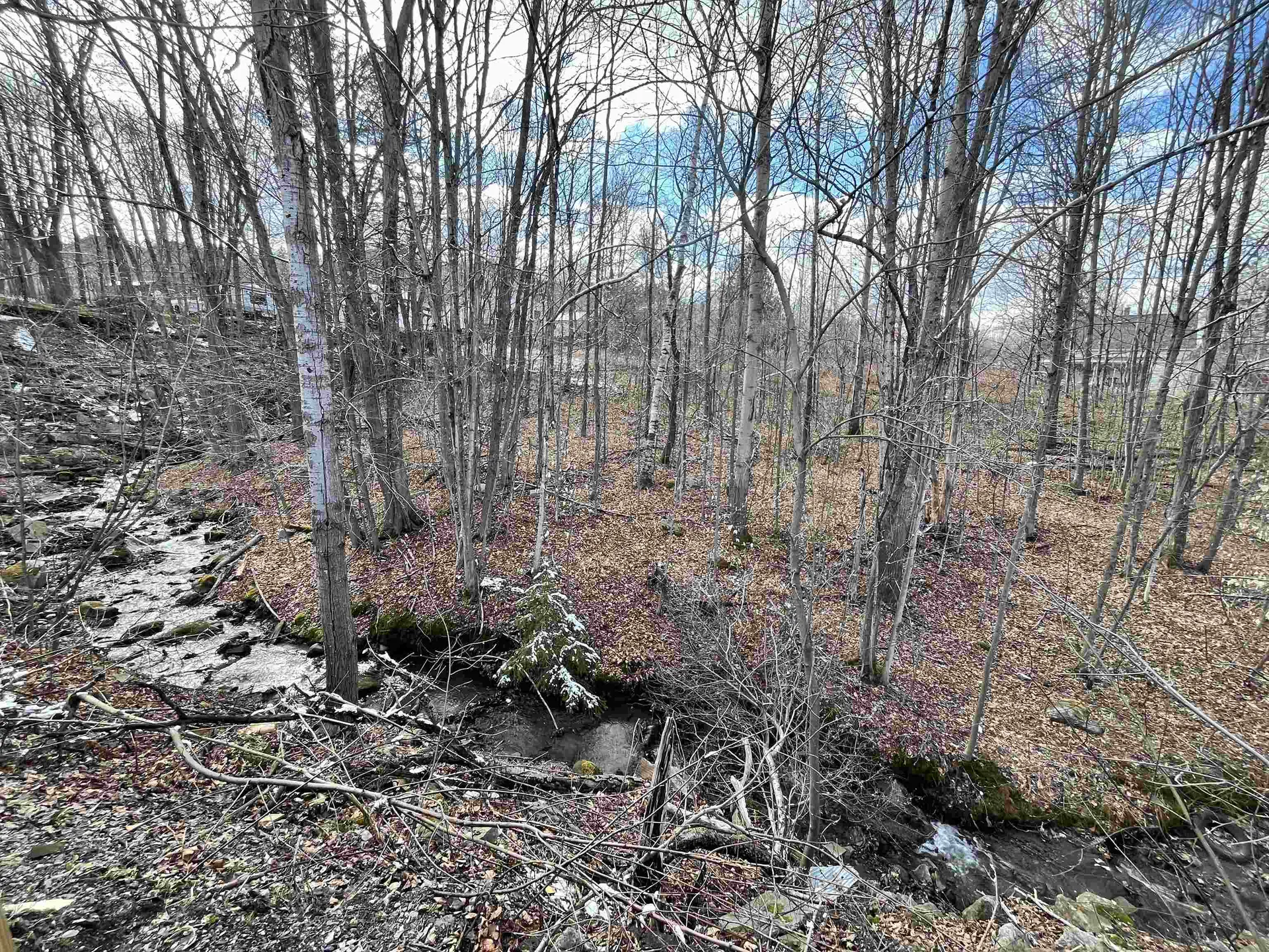67 Brook Street Barre Town VT 05641