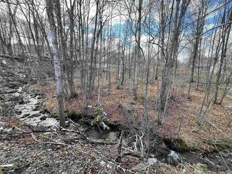 67 Brook Street Barre Town VT 05641