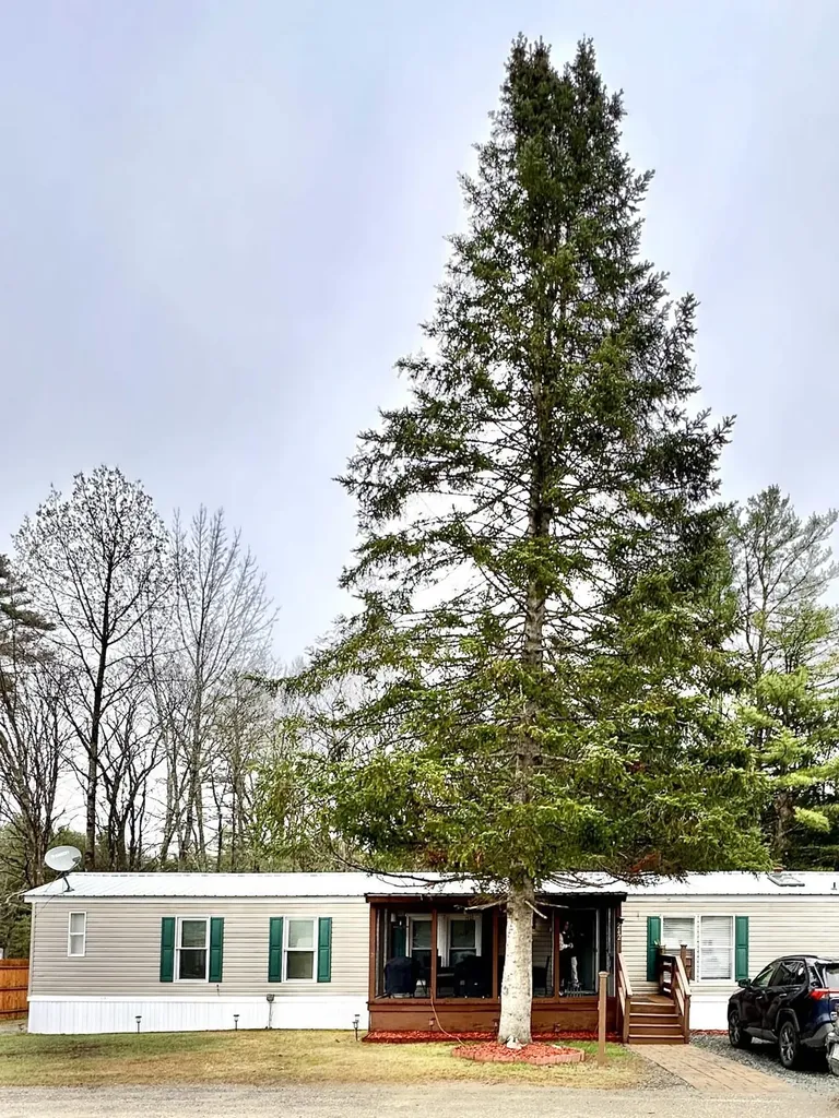 242 Riverside Drive Campton NH 03223