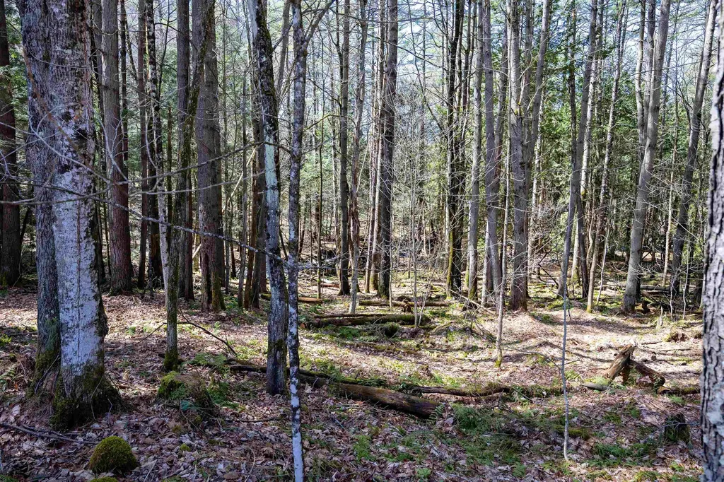 1799 Coppermine Road Monroe NH 03771