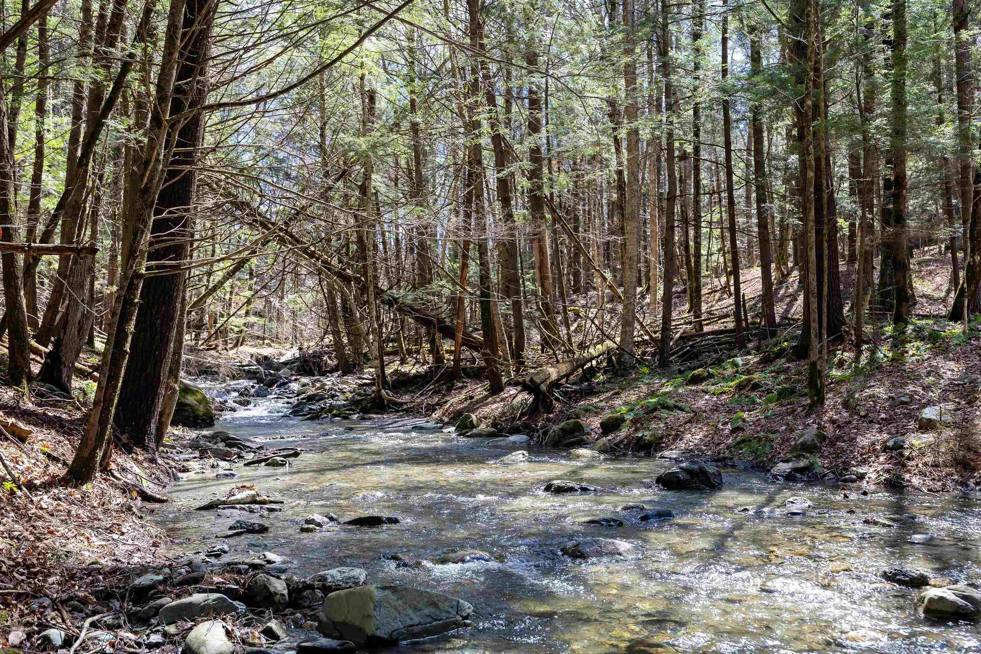 1799 Coppermine Road Monroe NH 03771