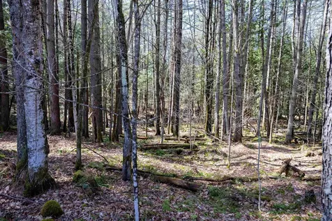 1799 Coppermine Road Monroe NH 03771